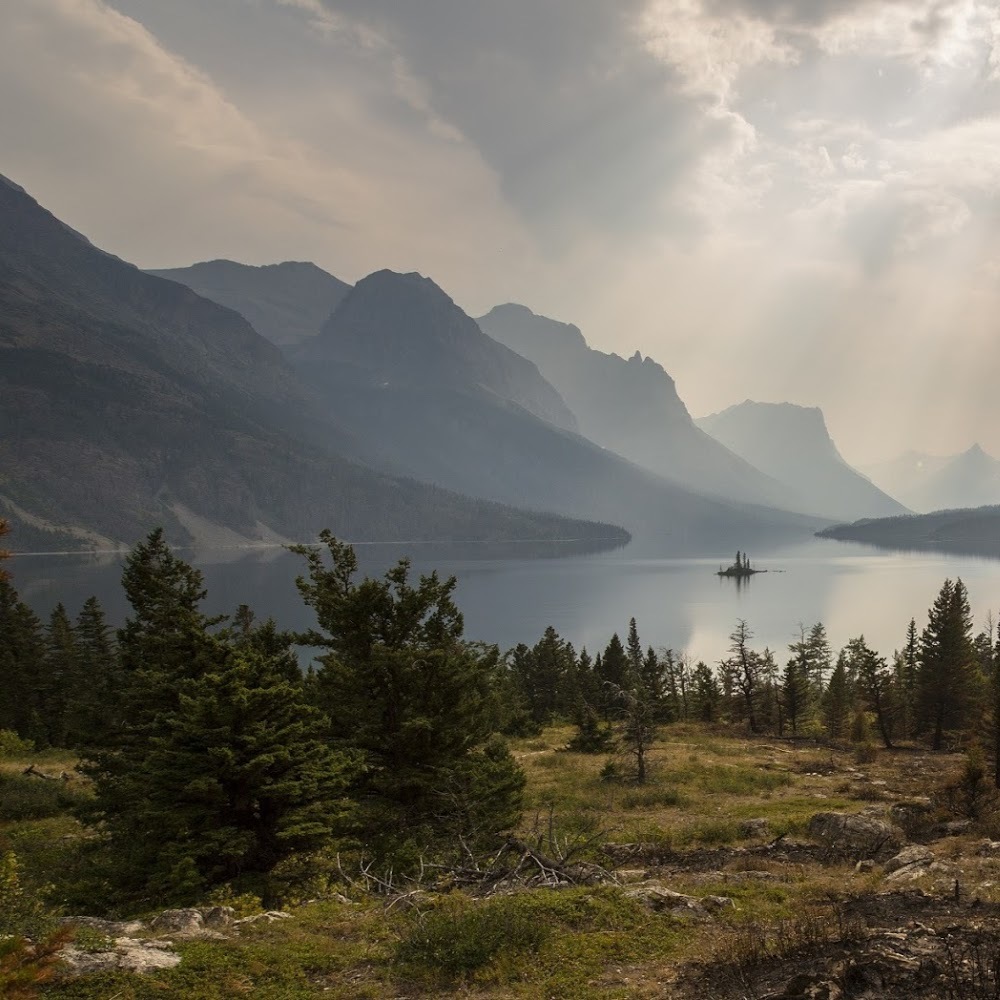 Meet your Posher, Claudia